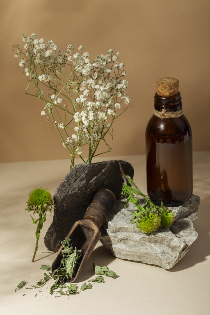 Naturopathe,plantes médicinales,herboristerie,Hennebont Morbihan